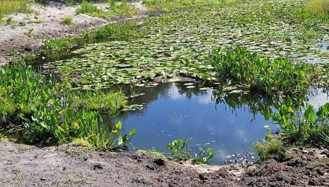 4031 Old Floral City