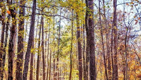 0 Hammock Rd Trussville