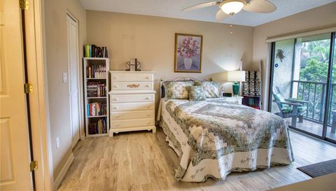 752 White Pine Tree