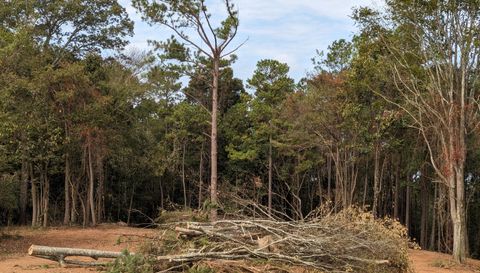 16091 Jackson Trace Rd