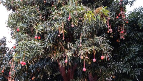 2618 Arthur St