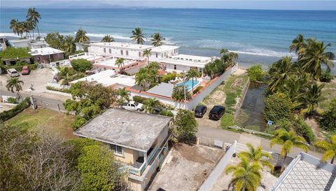 425 BRAVOS DE BOSTON