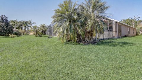 927 Orange Cosmos Blvd