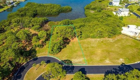 10131 Eagle Preserve Dr