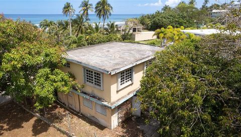 425 BRAVOS DE BOSTON