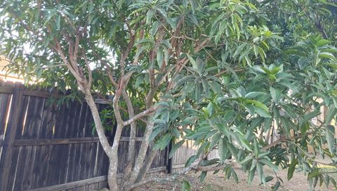 5398 Oxford Manor Cir