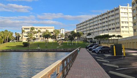 100 BLUFF VIEW DRIVE