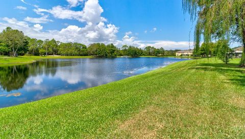 602 Mount Olympus Boulevard New Smyrna Beach