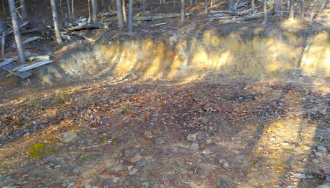 371 Pressmens Home Rd