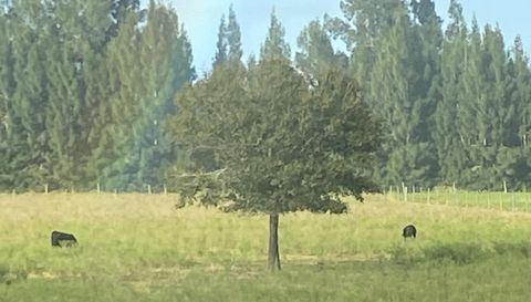 1071 S Header Canal Rd