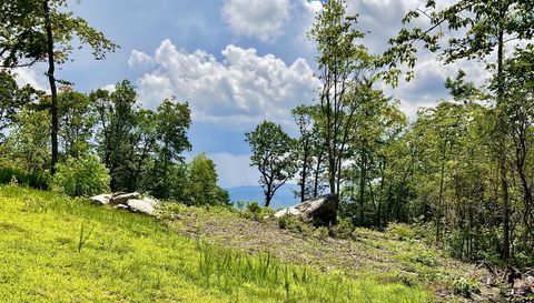 99999 Mountain Grove Ln.