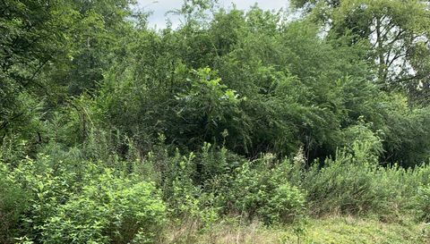 0 NE Cottonwood Street LEE FL 32059