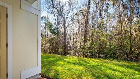 4966 Key Lime