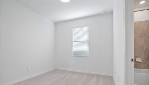 17604 FALLEN BRANCH WAY