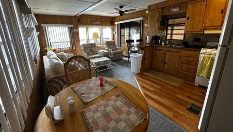 10843 Bonapartes Gull SE