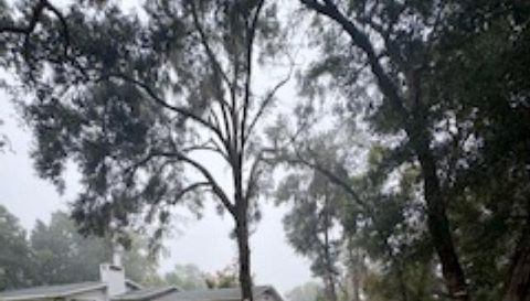 1505 E Crooked Lake Dr