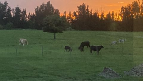 1071 S Header Canal Rd