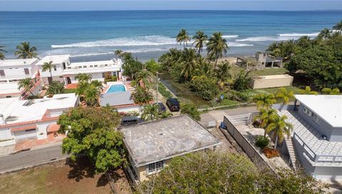 425 BRAVOS DE BOSTON