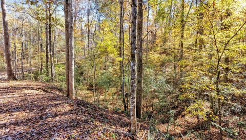 0 Hammock Rd Trussville