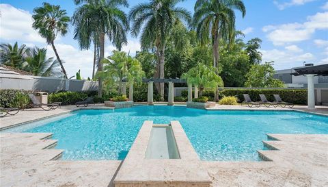 Palma Real PALMA REAL