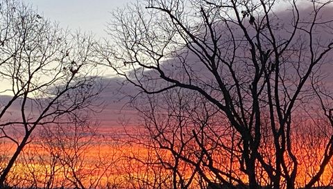 916 Arbor Dr Lakemont