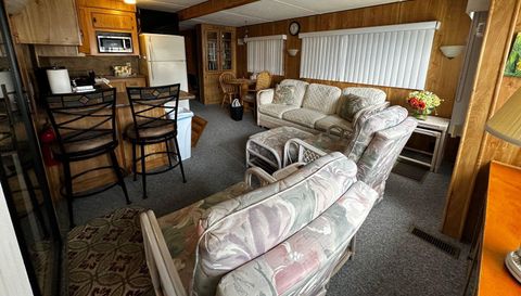 10843 Bonapartes Gull SE