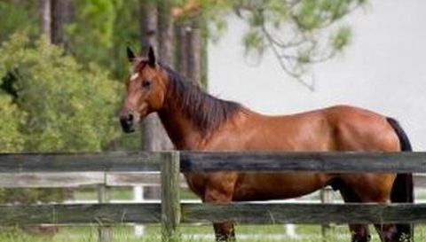 6351 Sw Pentalago Circle