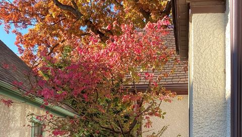 49 Sheridan Avenue S