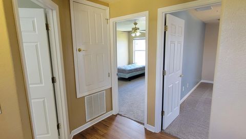 3145 Twisted Oak Loop