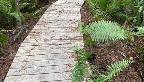 5802 PEACH HEATHER TRAIL