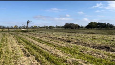 1503 S Header Canal Rd