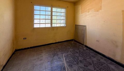 425 BRAVOS DE BOSTON