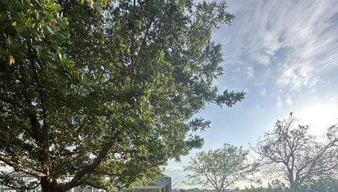 1131 Verde Ct