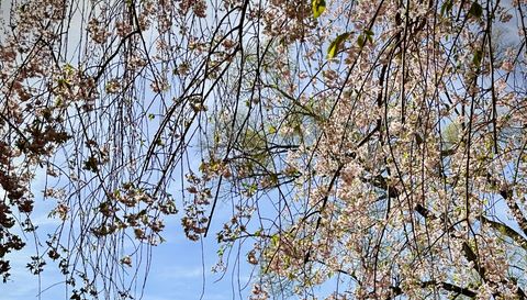 18315 Cavanaugh Lake Rd