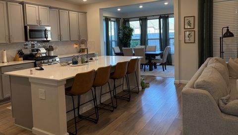 18323 Tiger Flowers Dr