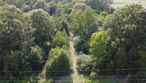 3601 Lanesboro Rd