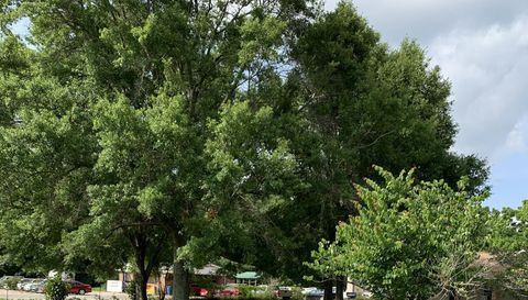 7480 Theodore Dawes Rd