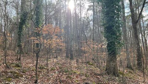 0 Lower Dixie Lake Rd