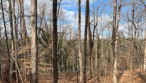 0 Lower Dixie Lake Rd