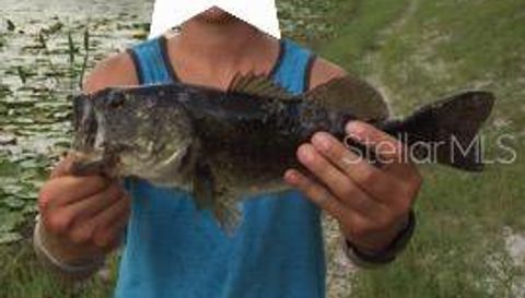 4031 Old Floral City