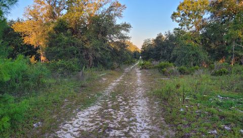 0 NE 61st. Ln. Williston FL 32696