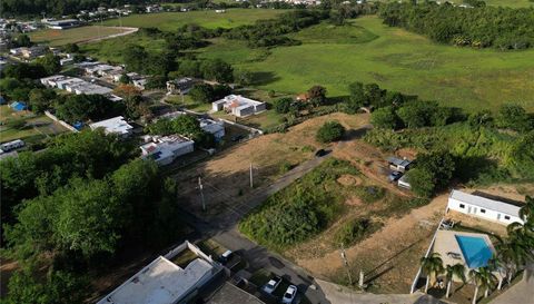 Tierras Nuevas Salientes Wd.