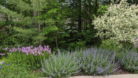 4209 N Oak Pointe Ct NE