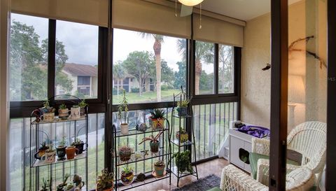 752 White Pine Tree