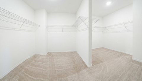 2980 Angelonia Thorn Way