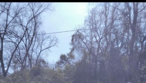 0 Dr. L.C. McMillian Ave