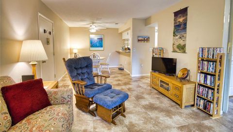 752 White Pine Tree