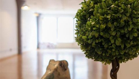 1709 Washington Avenue