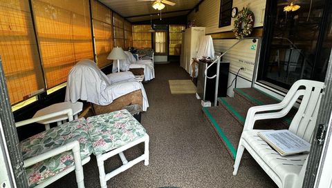 10843 Bonapartes Gull SE