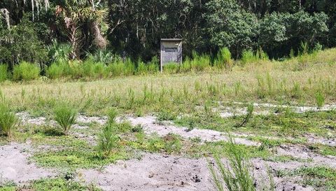 4031 Old Floral City